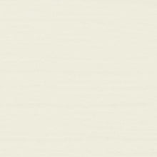 Load image into Gallery viewer, Annie Sloan Chalk Paint - Old White
