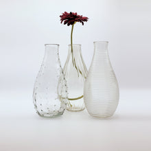 Load image into Gallery viewer, Bottle Vase-4 Assorted Designs Large
