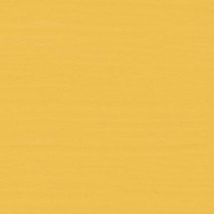 Annie Sloan Chalk Paint - Tilton